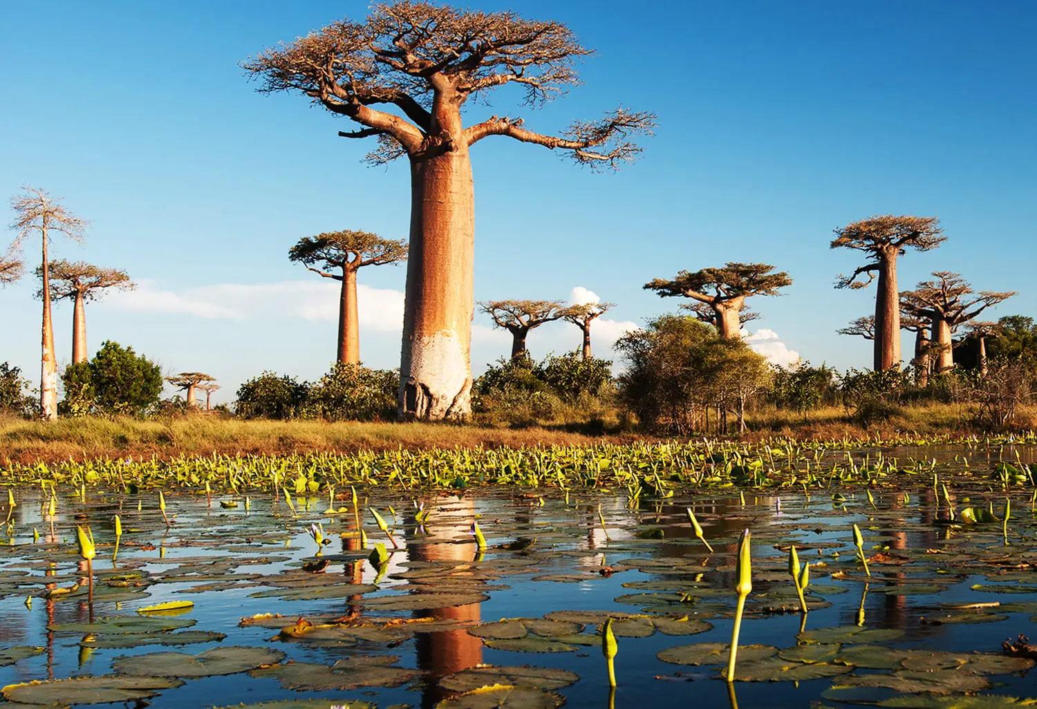 Apa Hukum Sewa Pawang Hujan dalam Islam